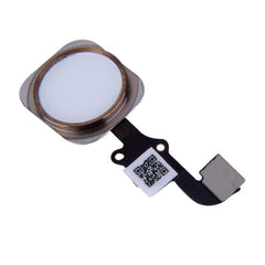 For 6 6G Home Button Flex Cable Assembly Gold - Qwikfone.com